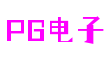 上海市电子PG游戏开发有限公司